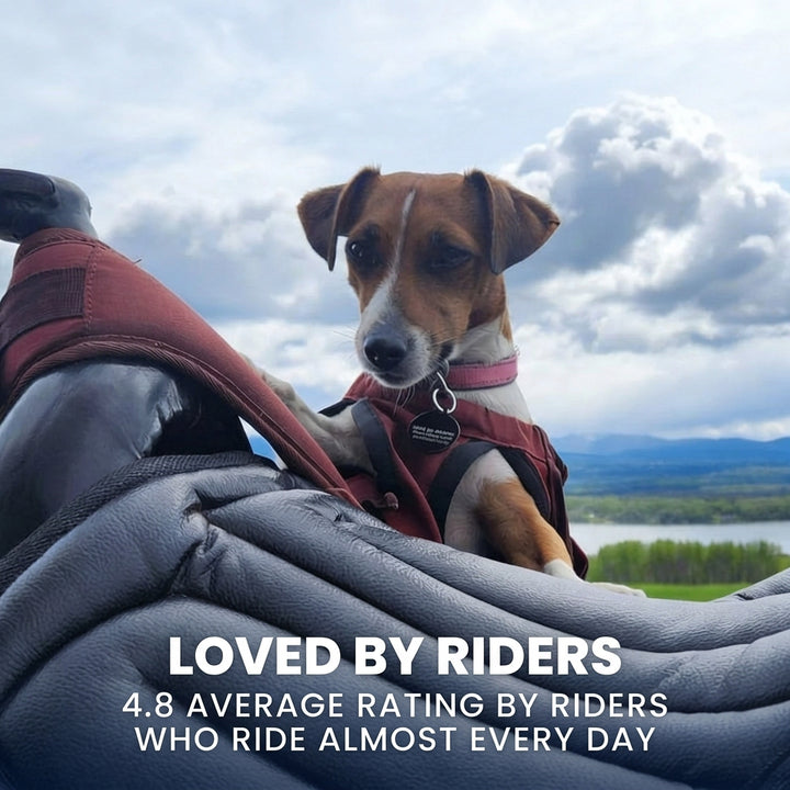 Saddle Seat Cushion for Comfortable Long Rides 7