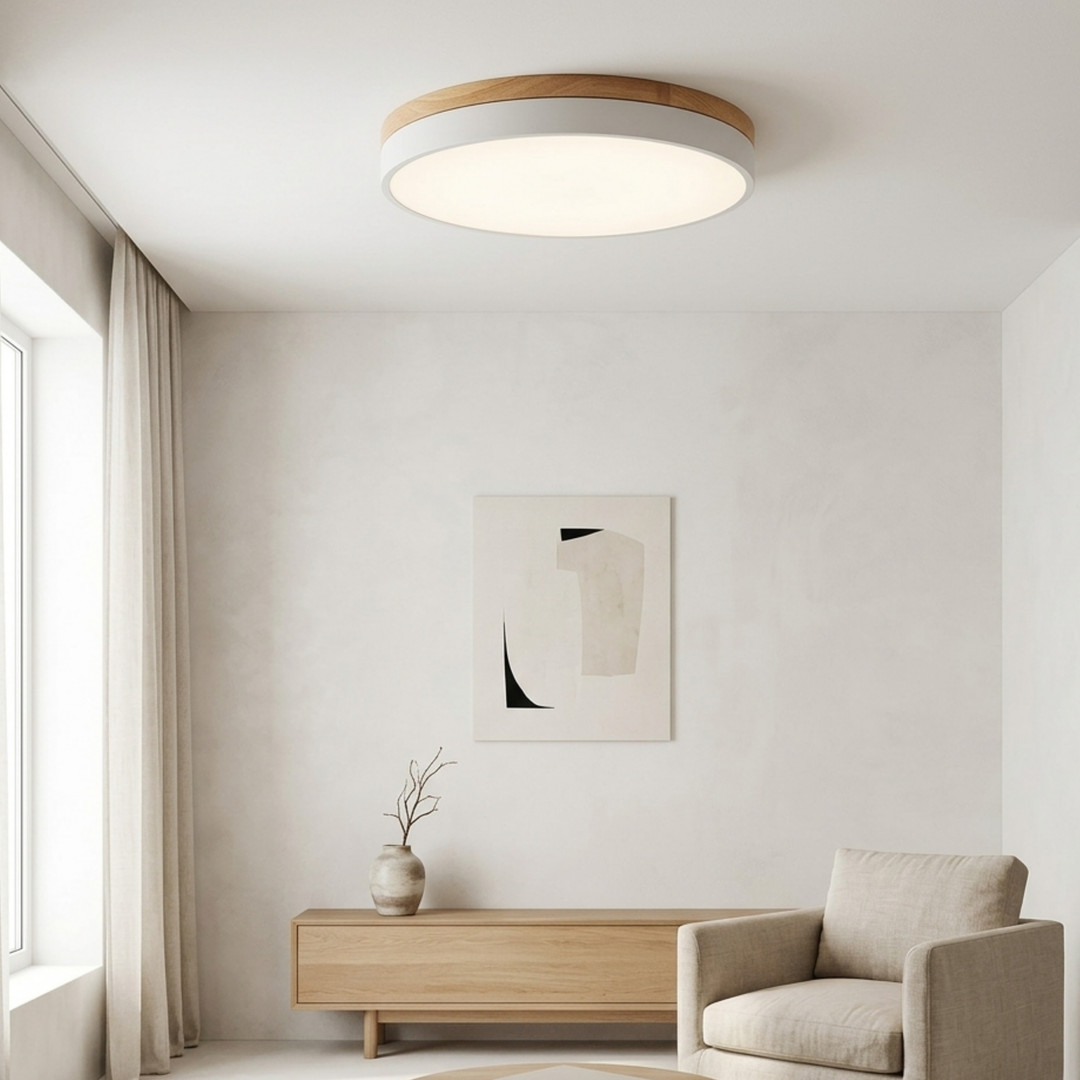 Round Disc Ceiling Light – Flat Flush Mount Fixture 3