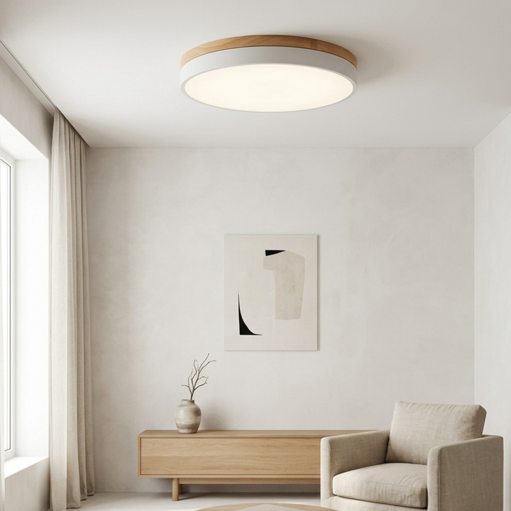 Round Disc Ceiling Light – Flat Flush Mount Fixture 3
