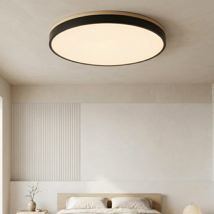 Round Disc Ceiling Light – Flat Flush Mount Fixture 2