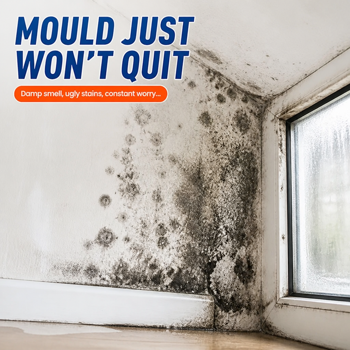 Mold Removal Spray – Fast-Acting Cleaner That Helps Prevent Mold Regrowth 2