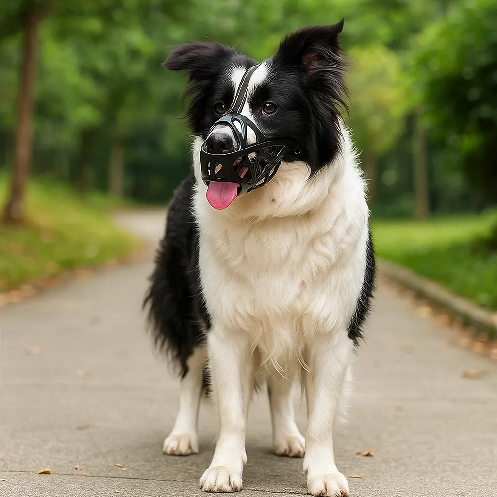 Dog Muzzle | Breathable & Adjustable for Training & Everyday Use 11