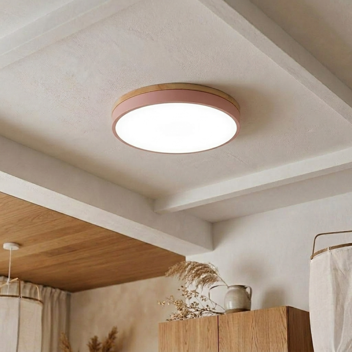 Round Disc Ceiling Light – Flat Flush Mount Fixture 20