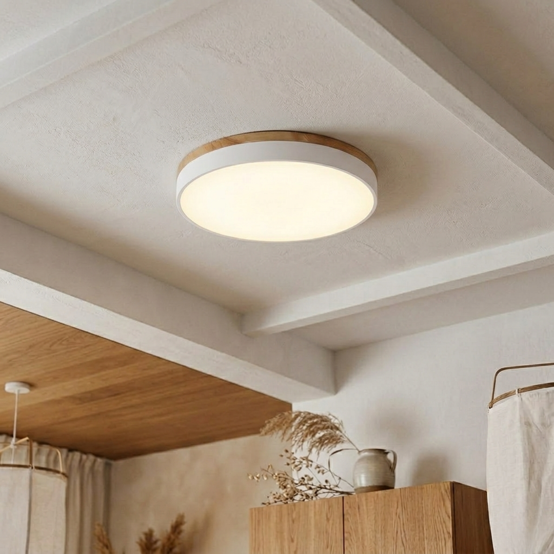 Round Disc Ceiling Light – Flat Flush Mount Fixture 10