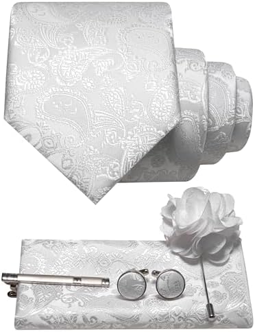 Men's Paisley Tie Set with Pocket Square, Cufflinks, Tie Clip and Lapel Brooch 19