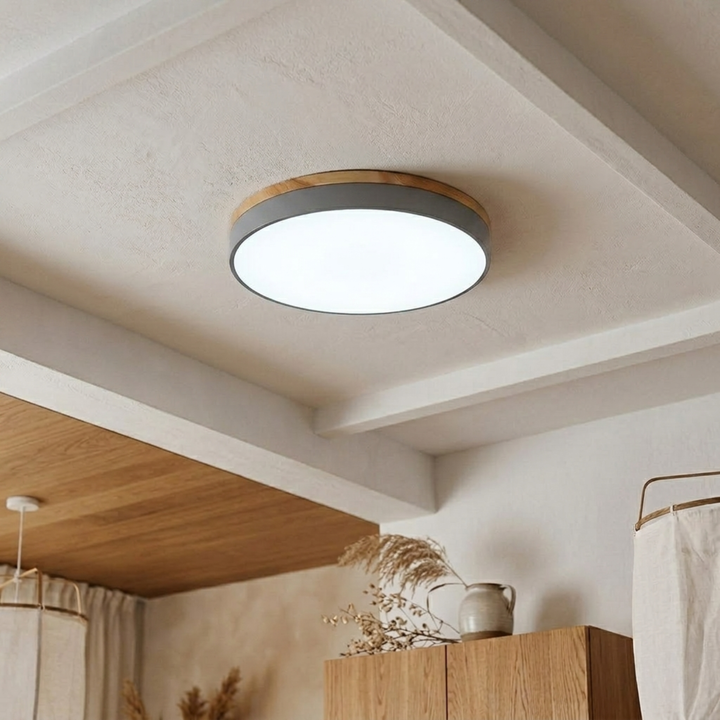 Round Disc Ceiling Light – Flat Flush Mount Fixture 16