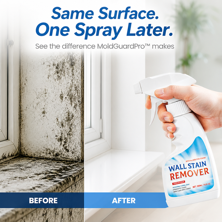Mold Removal Spray – Fast-Acting Cleaner That Helps Prevent Mold Regrowth 5