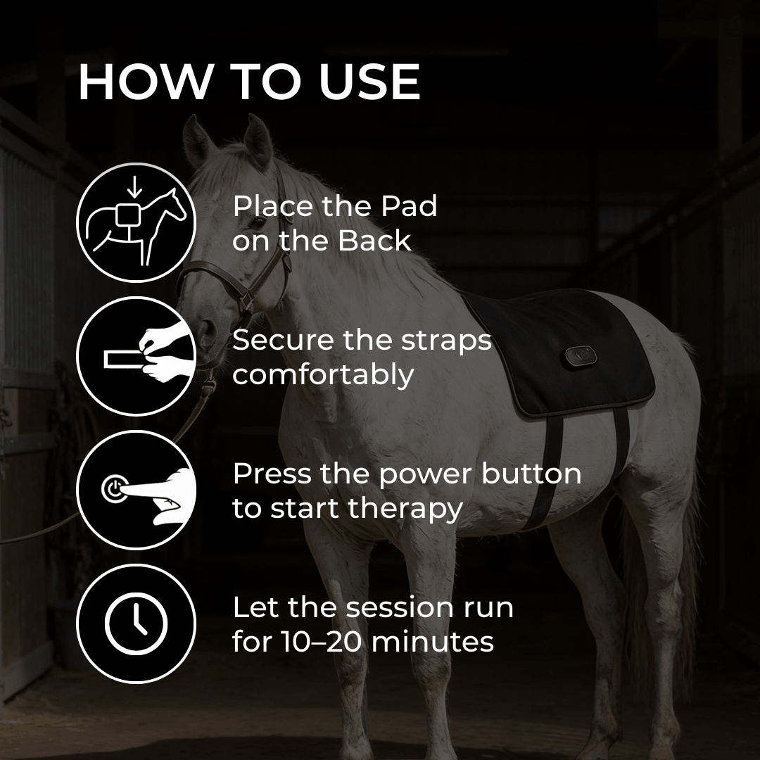 LED Red Light Therapy Back Wrap for Horses 6
