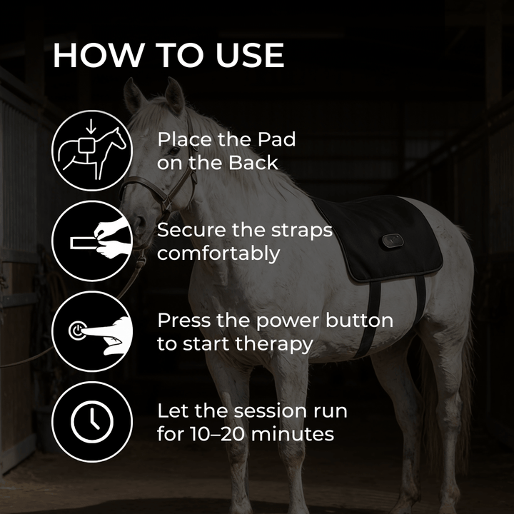 LED Red Light Therapy Back Wrap for Horses 6