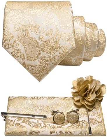 Men's Paisley Tie Set with Pocket Square, Cufflinks, Tie Clip and Lapel Brooch 2
