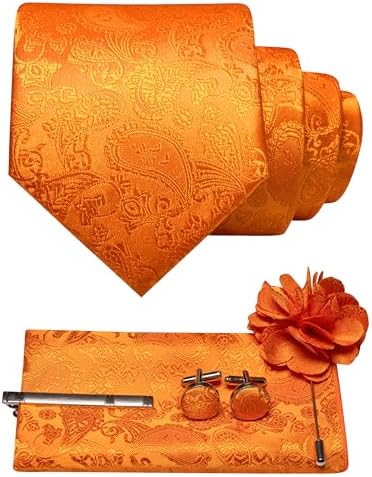 Men's Paisley Tie Set with Pocket Square, Cufflinks, Tie Clip and Lapel Brooch 7