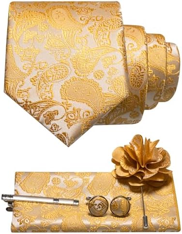 Men's Paisley Tie Set with Pocket Square, Cufflinks, Tie Clip and Lapel Brooch 16