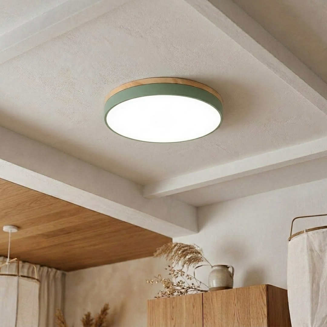 Round Disc Ceiling Light – Flat Flush Mount Fixture 1