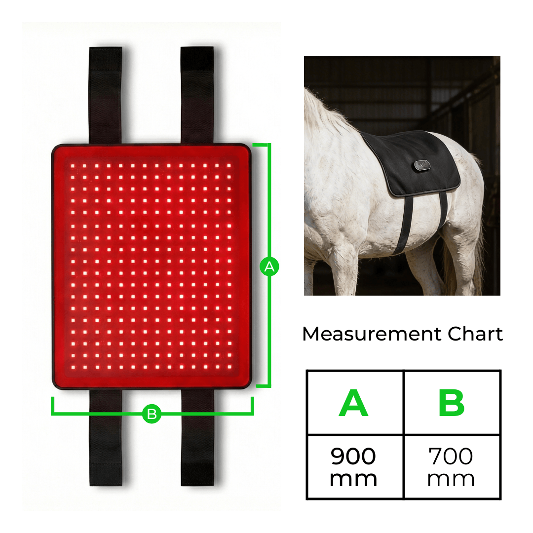 LED Red Light Therapy Back Wrap for Horses 8