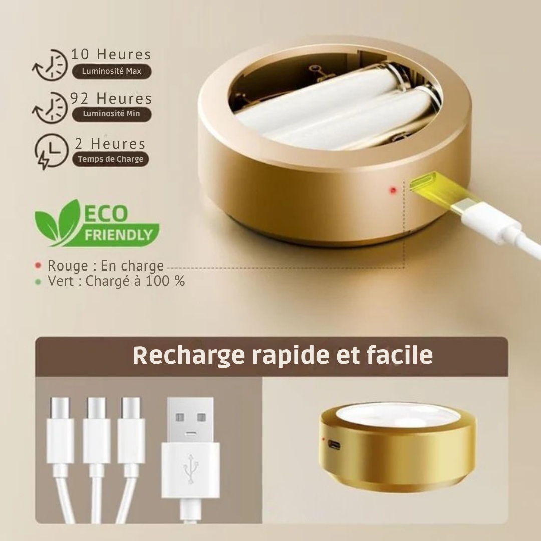 Magnetic Picture Light with 13 Color Modes, Rechargeable and Wireless, Touch and Remote Control 3