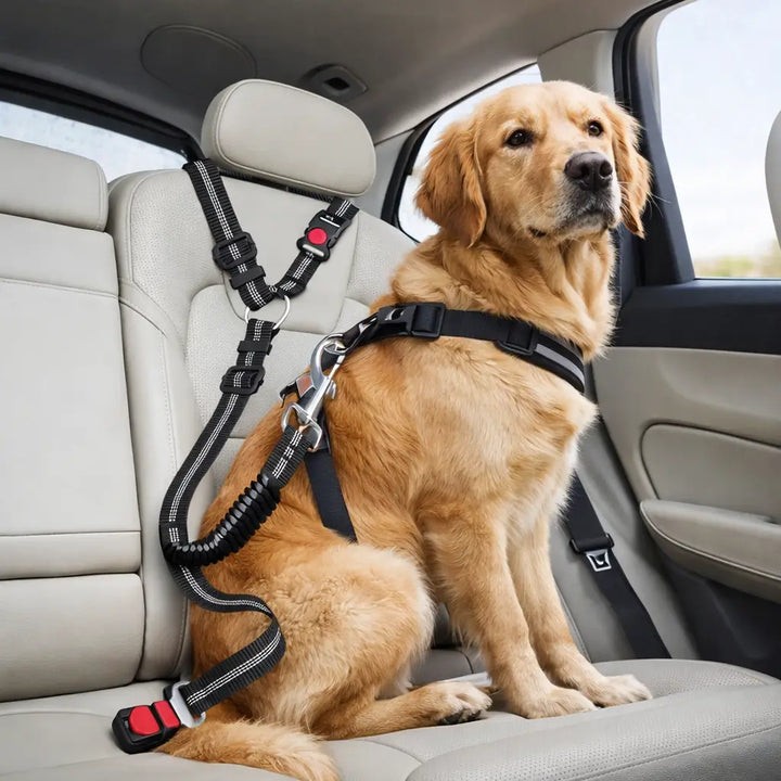 Adjustable Dog Seat Belt for Car Travel with Dual Attachment 1