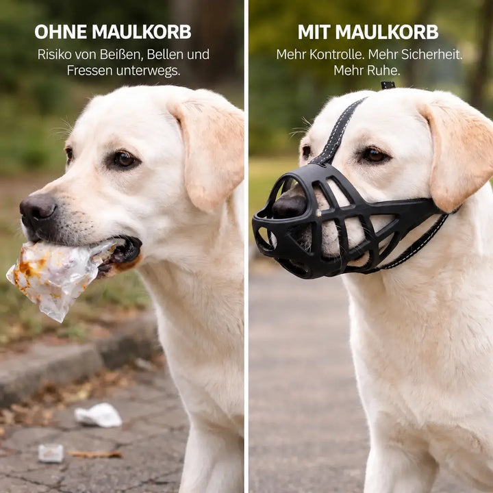 Dog Muzzle | Breathable & Adjustable for Training & Everyday Use 4