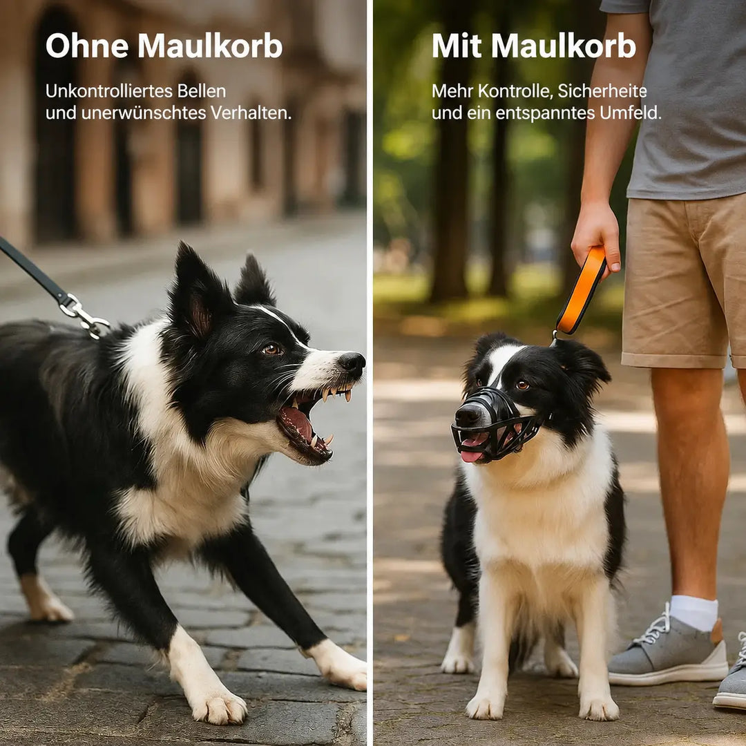 Dog Muzzle | Breathable & Adjustable for Training & Everyday Use 5