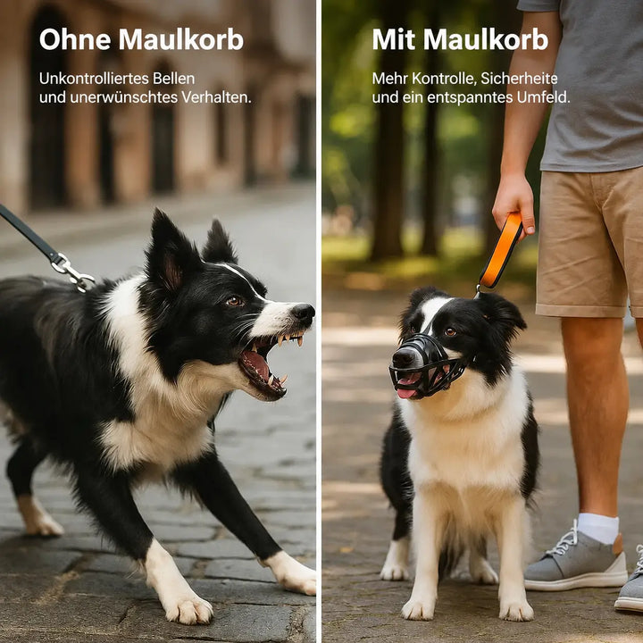 Dog Muzzle | Breathable & Adjustable for Training & Everyday Use 5