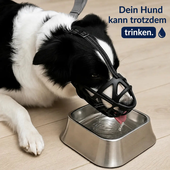 Dog Muzzle | Breathable & Adjustable for Training & Everyday Use 6