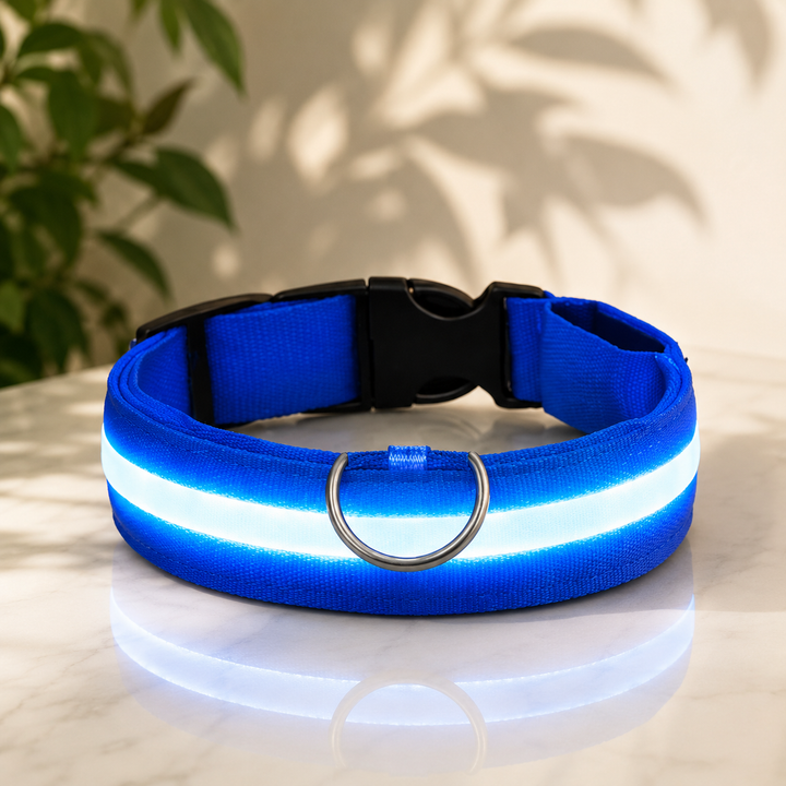 Rechargeable LED Dog Collar with 3 Light Modes, Visible Up to 500m at Night 1