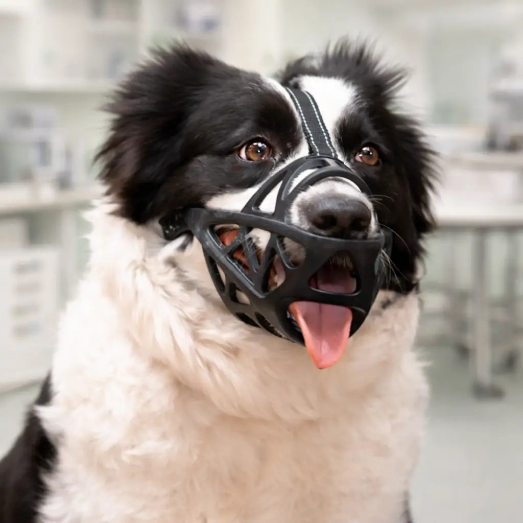 Dog Muzzle | Breathable & Adjustable for Training & Everyday Use 13