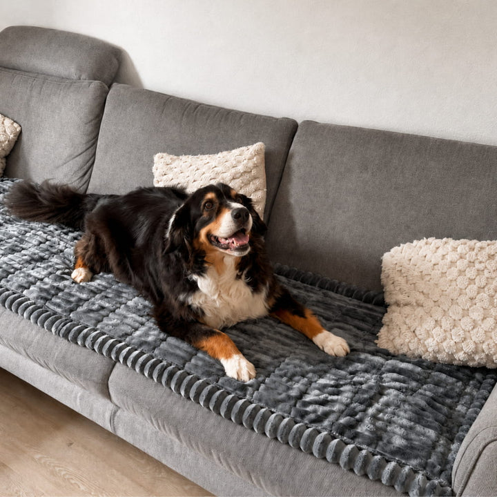 Brittany Sofa Protector — Water-Resistant Blanket for Dogs & Cats 2