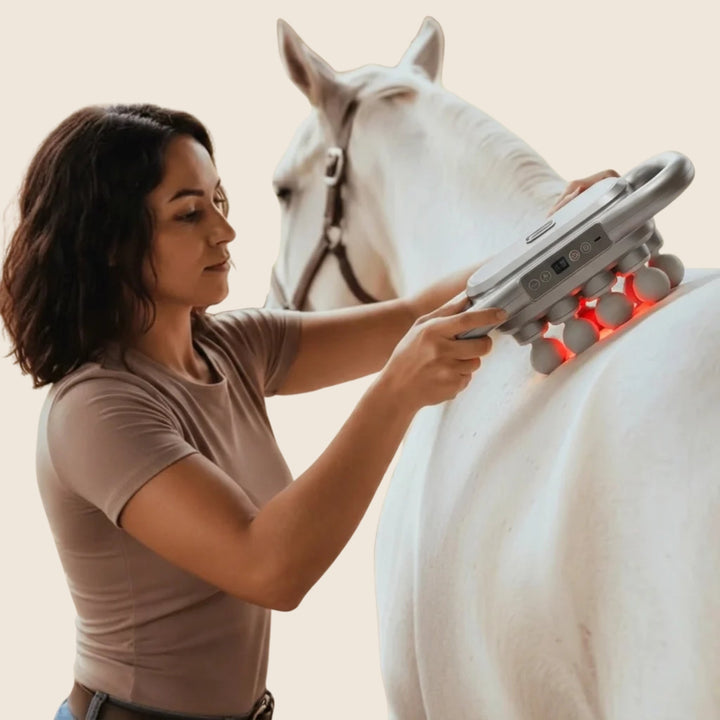 Red Light Massager for Relaxed, Supple Horse Muscles 1