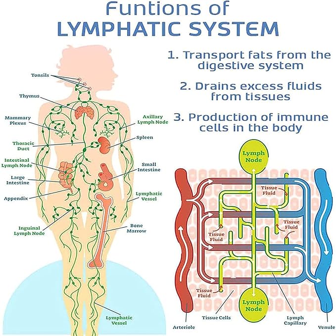 Ultrasonic Lymphatic Drainage Massager for Neck
