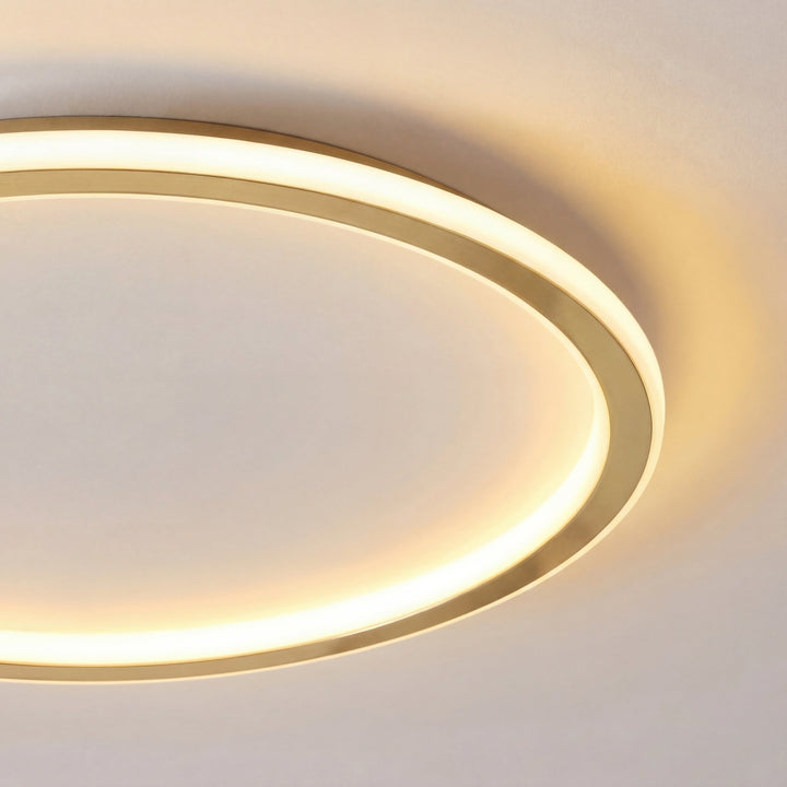 Gold Round LED Ceiling Light with Remote Dimmer 2