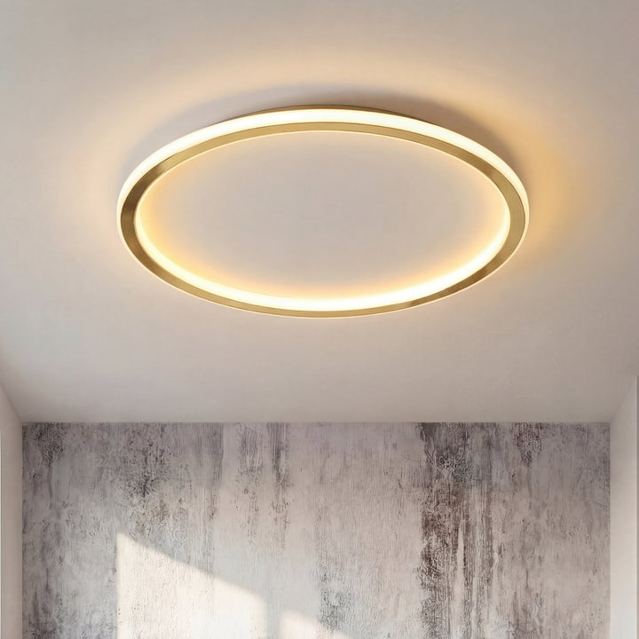 Gold Round LED Ceiling Light with Remote Dimmer 7