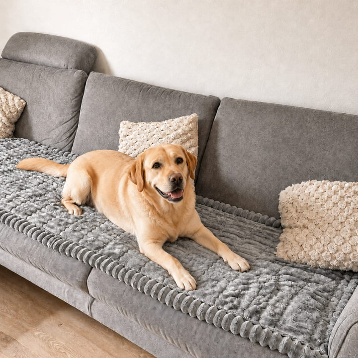 Brittany Sofa Protector — Water-Resistant Blanket for Dogs & Cats 1