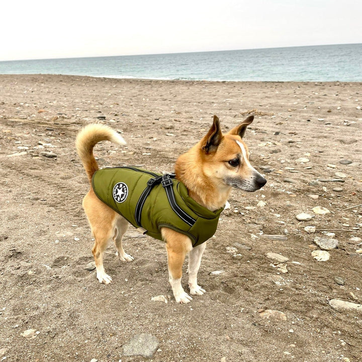 Dog Jacket with Built-In Harness, Windproof and Water-Resistant, Reflective 10
