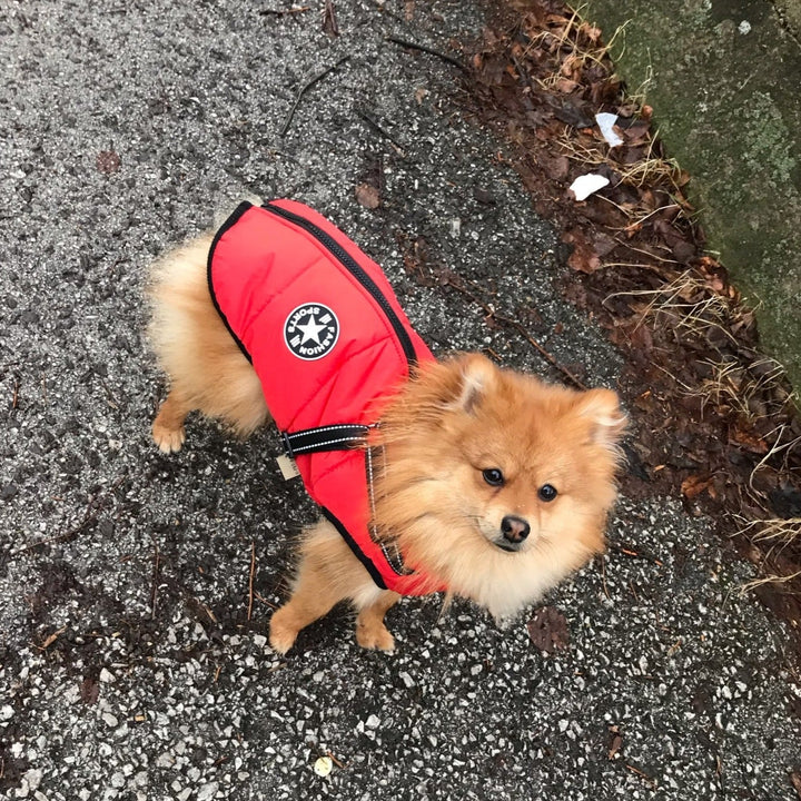 Dog Jacket with Built-In Harness, Windproof and Water-Resistant, Reflective 11