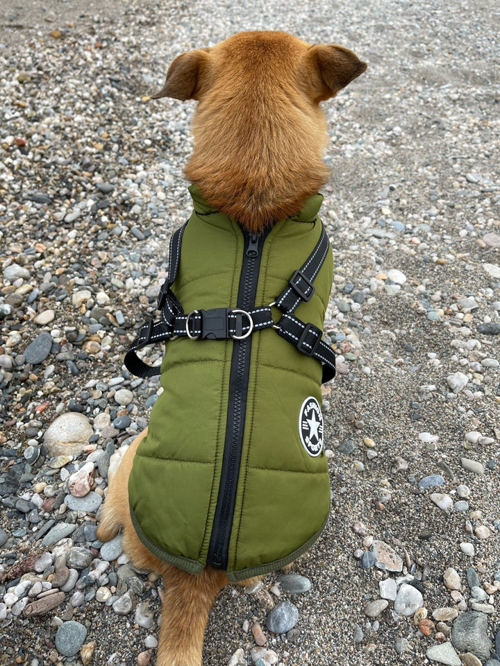 Dog Jacket with Built-In Harness, Windproof and Water-Resistant, Reflective 13