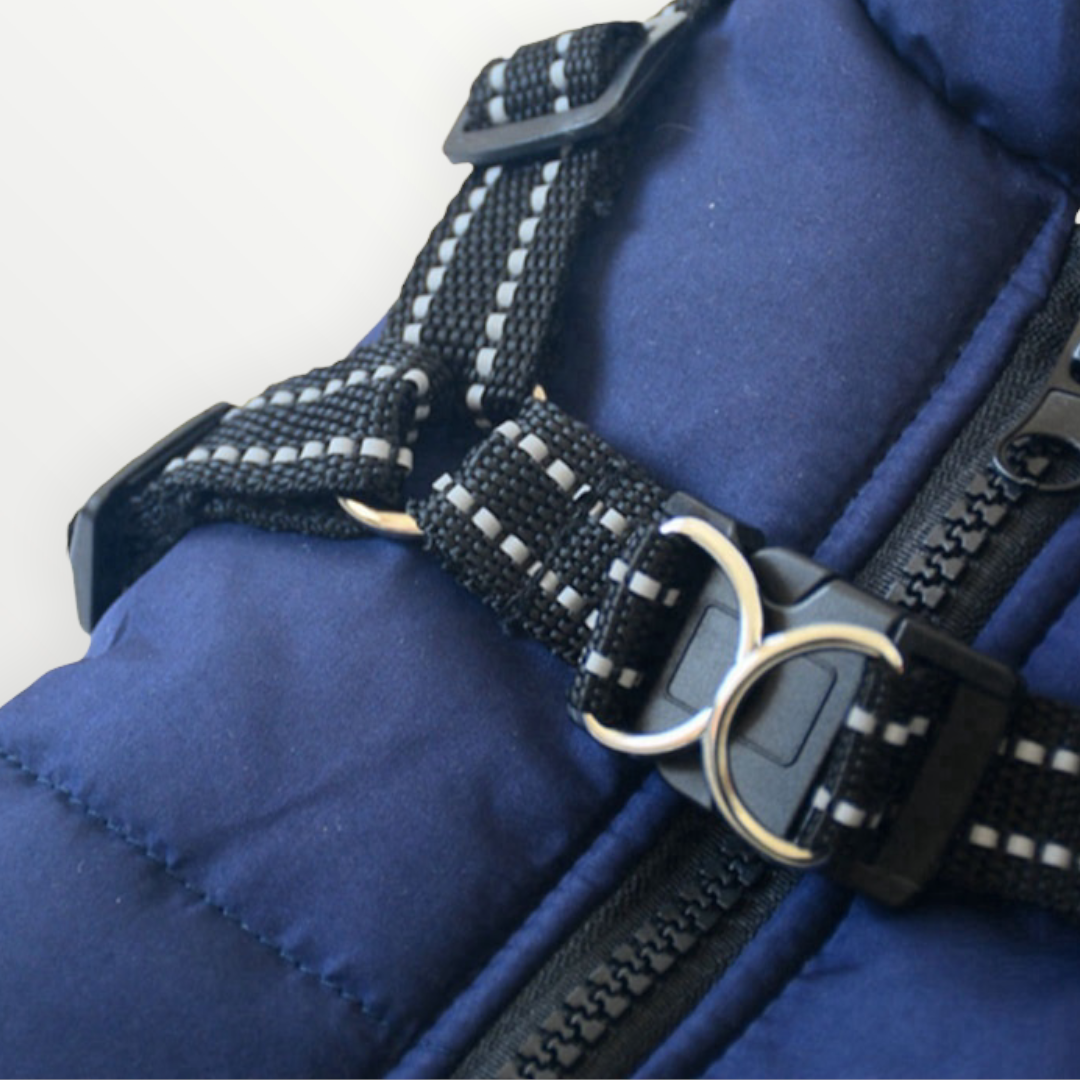 Dog Jacket with Built-In Harness, Windproof and Water-Resistant, Reflective 6