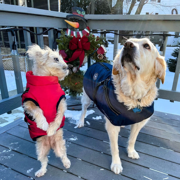 Dog Jacket with Built-In Harness, Windproof and Water-Resistant, Reflective 8