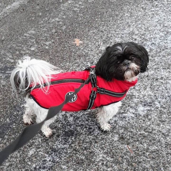 Dog Jacket with Built-In Harness, Windproof and Water-Resistant, Reflective 9