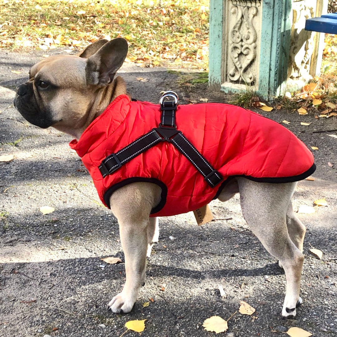 Dog Jacket with Built-In Harness, Windproof and Water-Resistant, Reflective 1