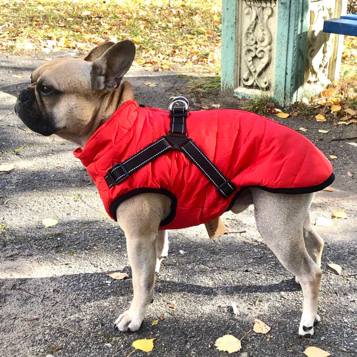 Dog Jacket with Built-In Harness, Windproof and Water-Resistant, Reflective 1