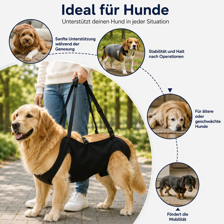 Dog Lifting Harness | Support Sling for Large Dogs | Daily Mobility Aid 2