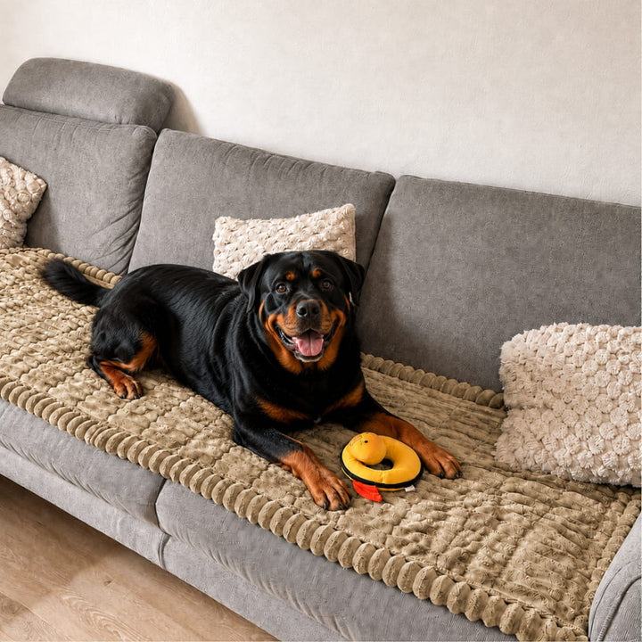 Brittany Sofa Protector — Water-Resistant Blanket for Dogs & Cats 5