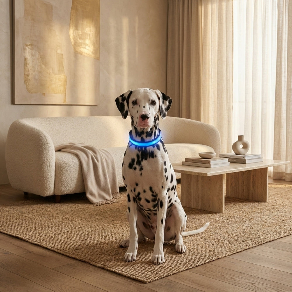 Rechargeable LED Dog Collar with 3 Light Modes, Visible Up to 500m at Night 2