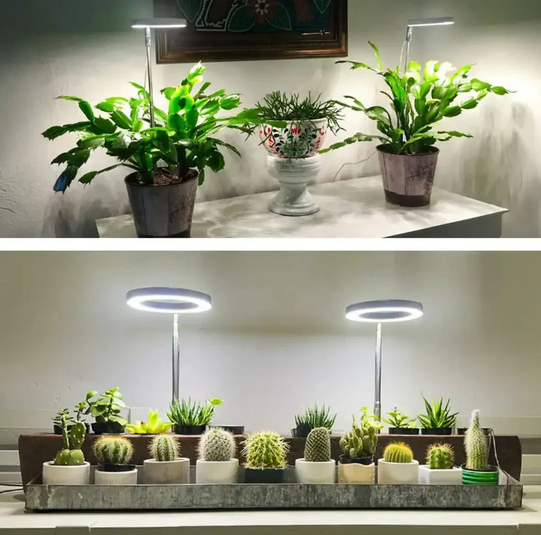 Full Spectrum LED Grow Light with Timer and Dimmer Function 2