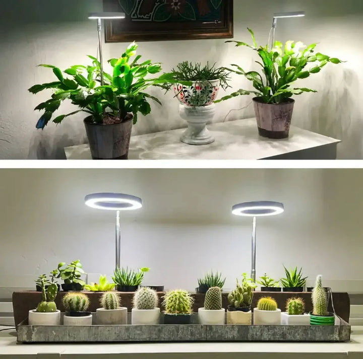 Full Spectrum LED Grow Light with Timer and Dimmer Function 2