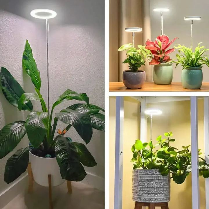 Full Spectrum LED Grow Light with Timer and Dimmer Function 3