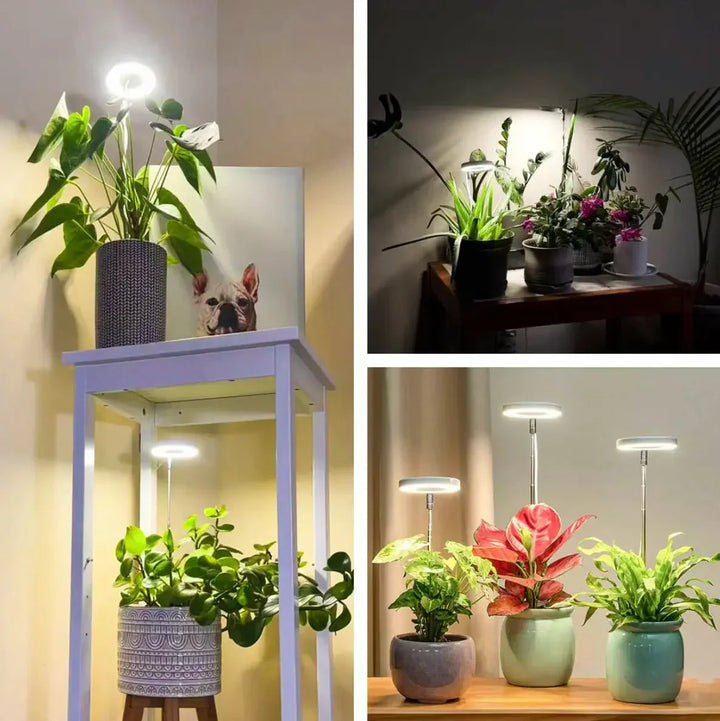 Full Spectrum LED Grow Light with Timer and Dimmer Function 4