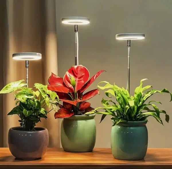 Full Spectrum LED Grow Light with Timer and Dimmer Function 1