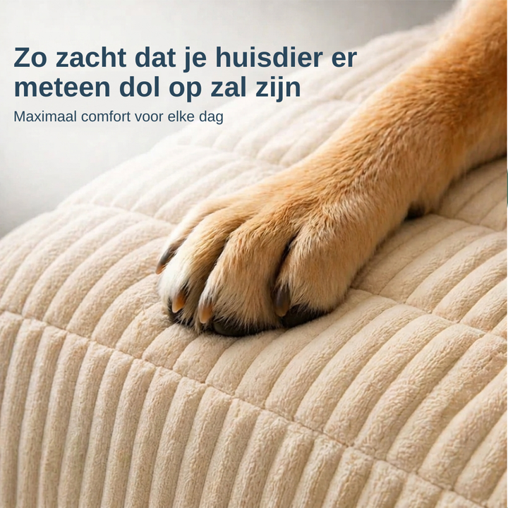 Brittany Sofa Protector — Water-Resistant Blanket for Dogs & Cats 9