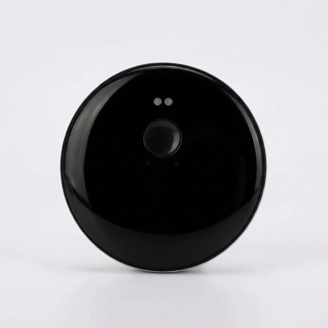 Portable Smart Voice Translator - LingoDisk